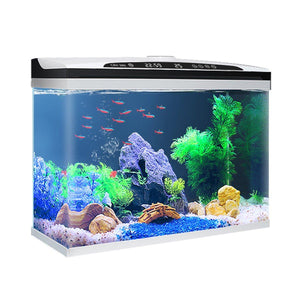 Advanced Smart Fish Tank with Self-Cleaning & LED Lights
