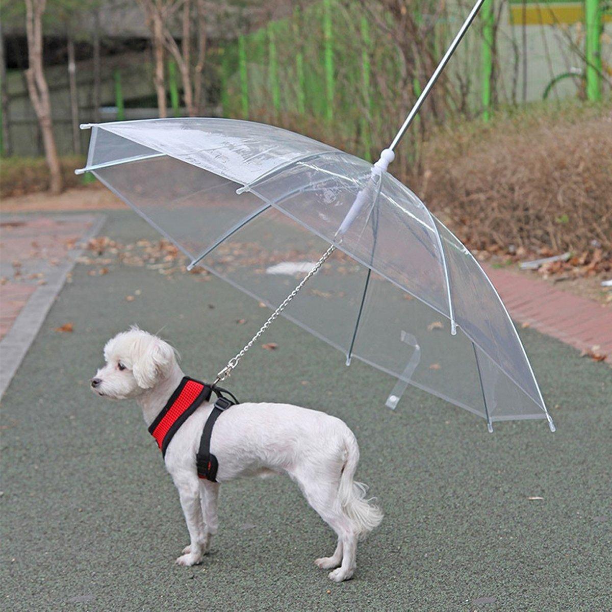 Pet Umbrella with Leash Attachment Keep Your Dog Dry in Style