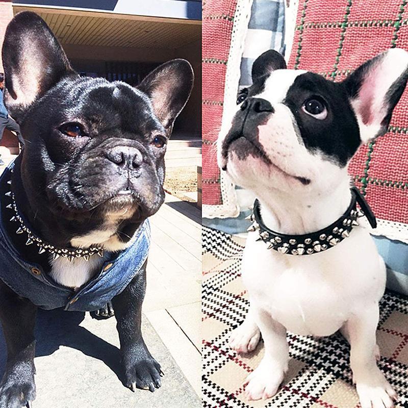 Studded Leather Dog Collar Stylish & Protective Designer Dog Collars