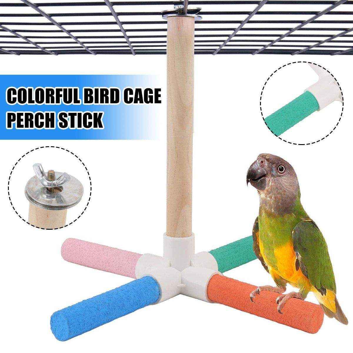 Colourful Parrot Toy Bird Stand for Claw Grinding and Play | Petfection ...