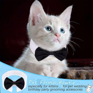 Designer Dog Collars & Designer Cat Collar Set Bow Tie and Necktie Design