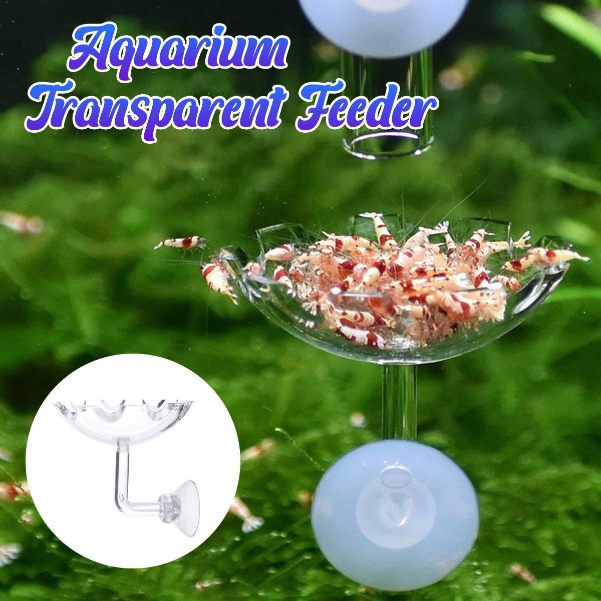 Aquarium Fish Tank Shrimp Food Feeder Clear Arylic Feeding Dish Fish Tank Feeder