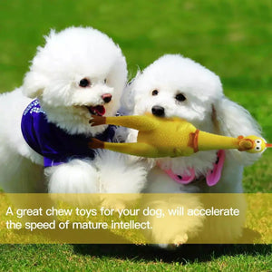 Squeaker Funny Screaming Shrilling Chicken Toy Squeeze PVC Pet Chew Dog