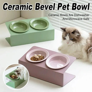 Ceramic Double Cat Bowl with Tilt Stand Elevated Pet Feeder for Comfort
