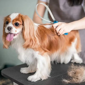 Pet Grooming Tool for Shedding Stainless Steel Hair Removal Comb for Dogs & Cats