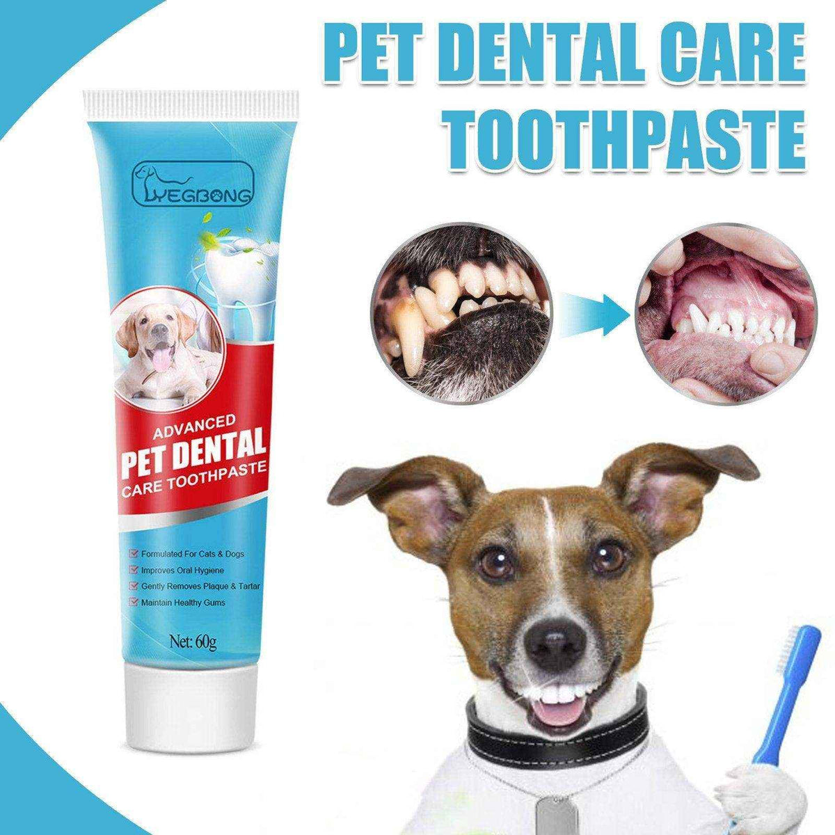 Advanced Pet Toothpaste for Cats & Dogs – Best Dog Toothpaste ...