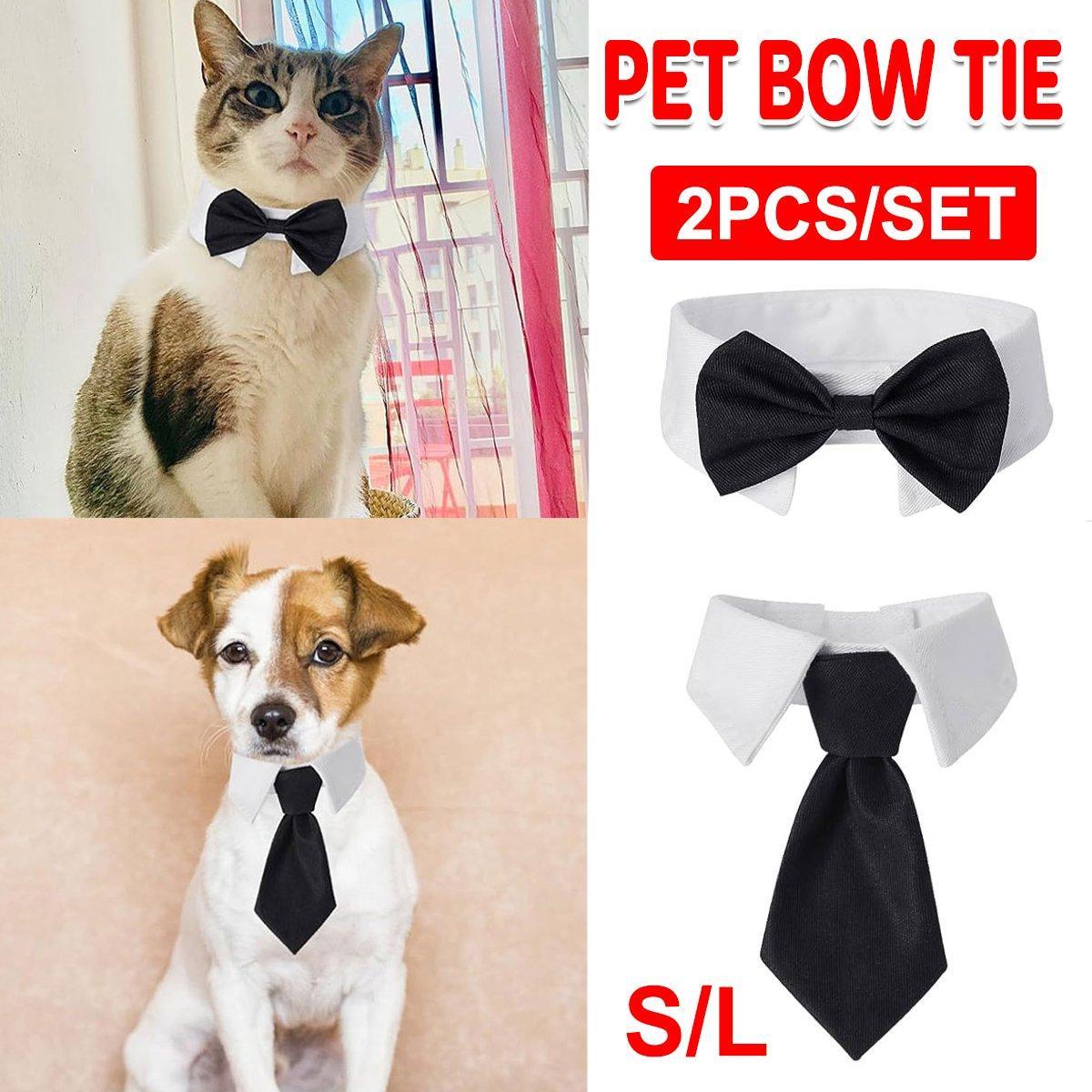 Designer dog collars with bow tie and necktie – perfect for stylish cats and dogs.