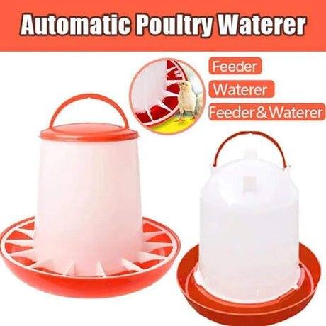 Automatic chicken feeder and waterer set for backyard poultry care.