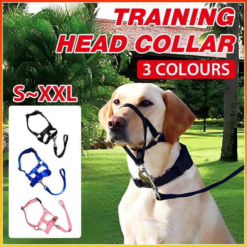 Adjustable Dog Muzzle Head Halter for Anti-Pull Training & Control