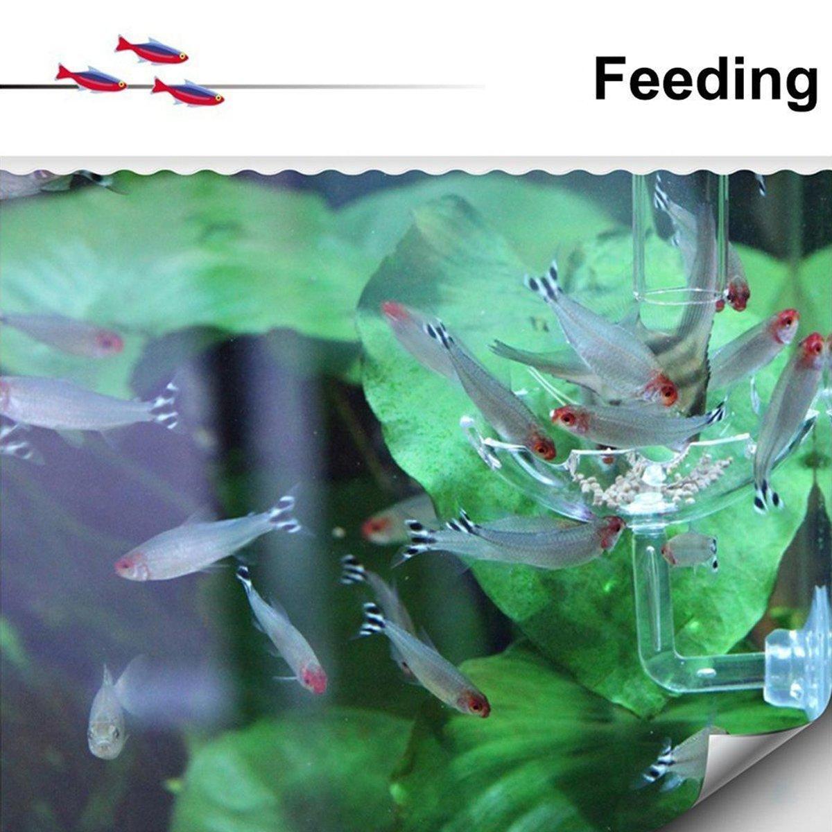 Aquarium Fish Tank Shrimp Food Feeder Clear Arylic Feeding Dish Fish Tank Feeder