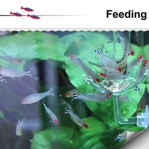 Aquarium Fish Tank Shrimp Food Feeder Clear Arylic Feeding Dish Fish Tank Feeder