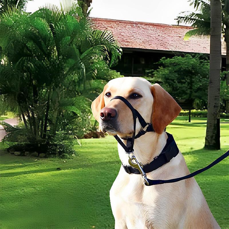 Adjustable Dog Muzzle Head Halter for Anti-Pull Training & Control