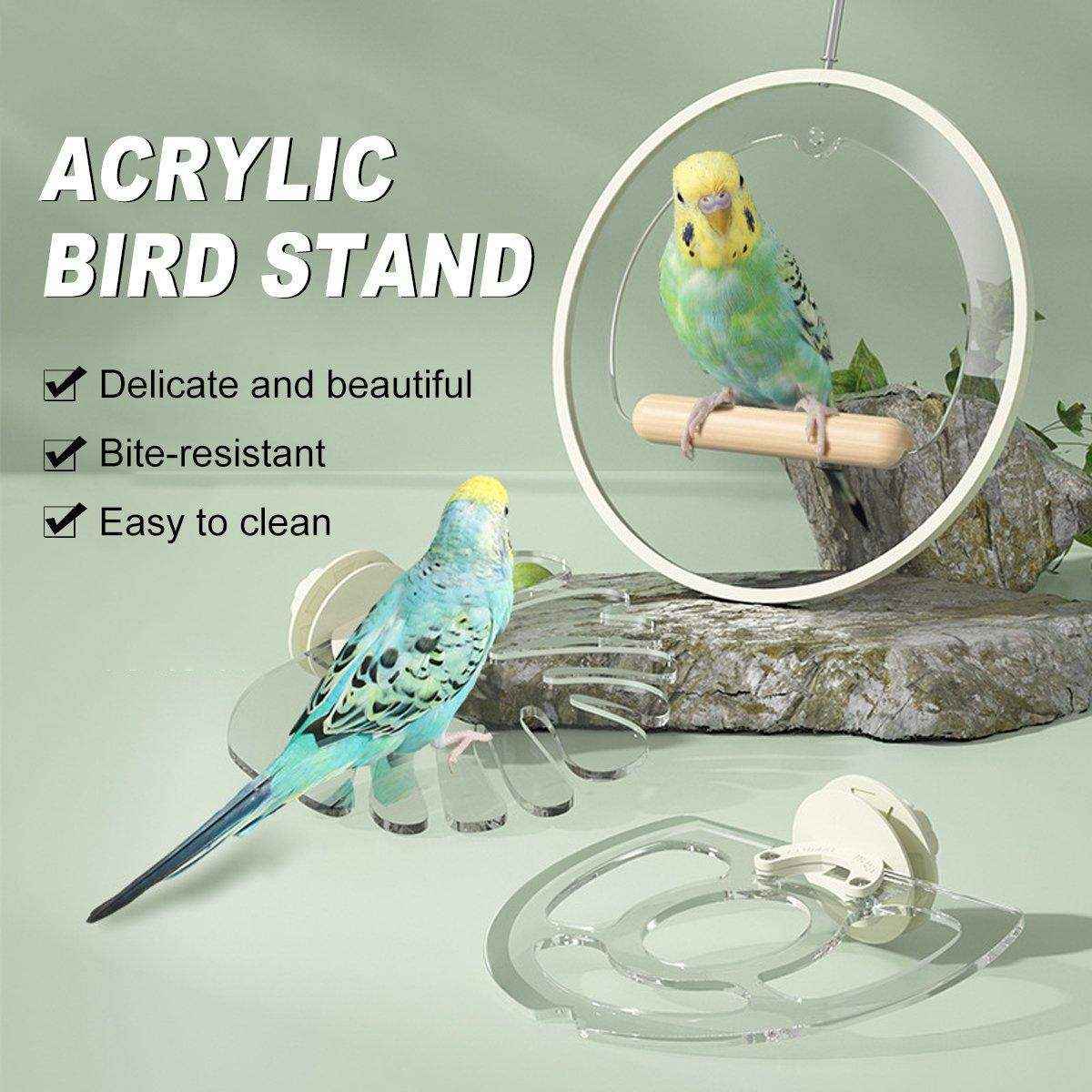 Premium Acrylic Bird Stand | Durable & Easy to Clean | Petfection Corner