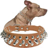 Studded Leather Dog Collar Stylish & Protective Designer Dog Collars