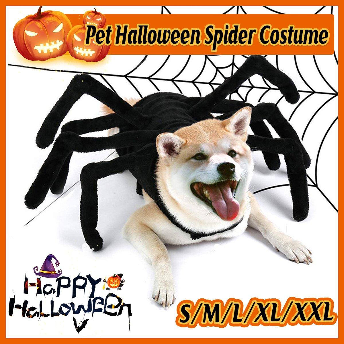 Halloween Pet Spider Costume Creepy & Cute Halloween Outfit for Pets