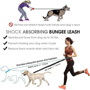 Pet Running Sports Traction Suit Belt Waist Pack Multi-color Reflective Traction Rope Collar Plus Belt
