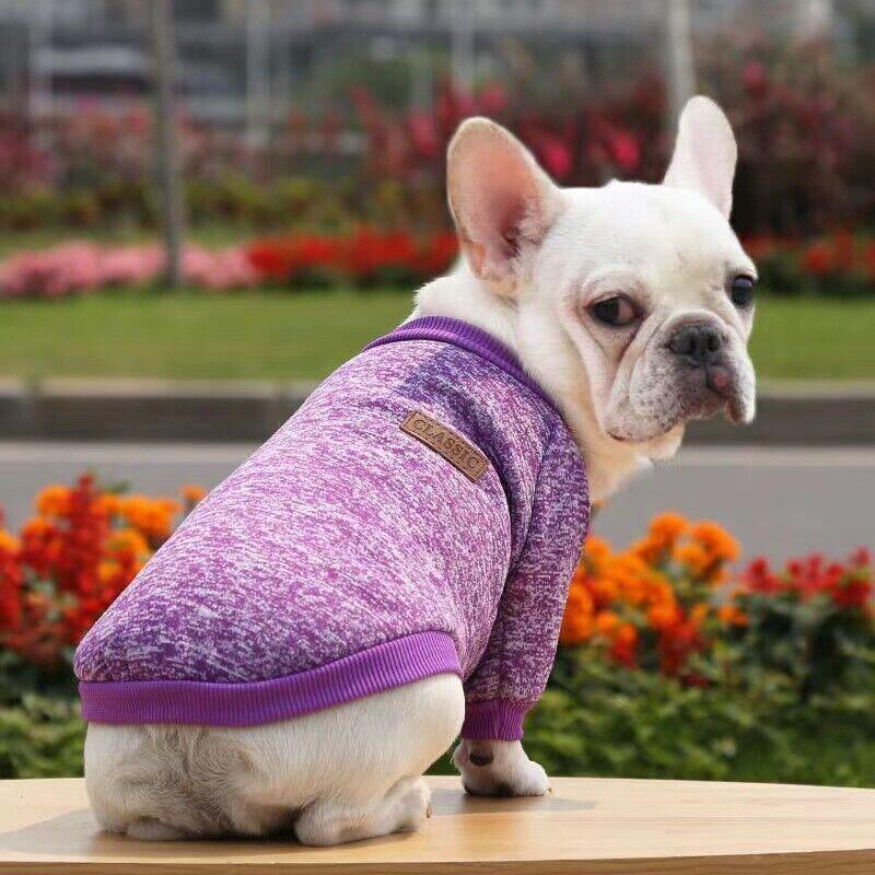 Winter Comfort Dog Jumper with Knitted Design and Colour Options
