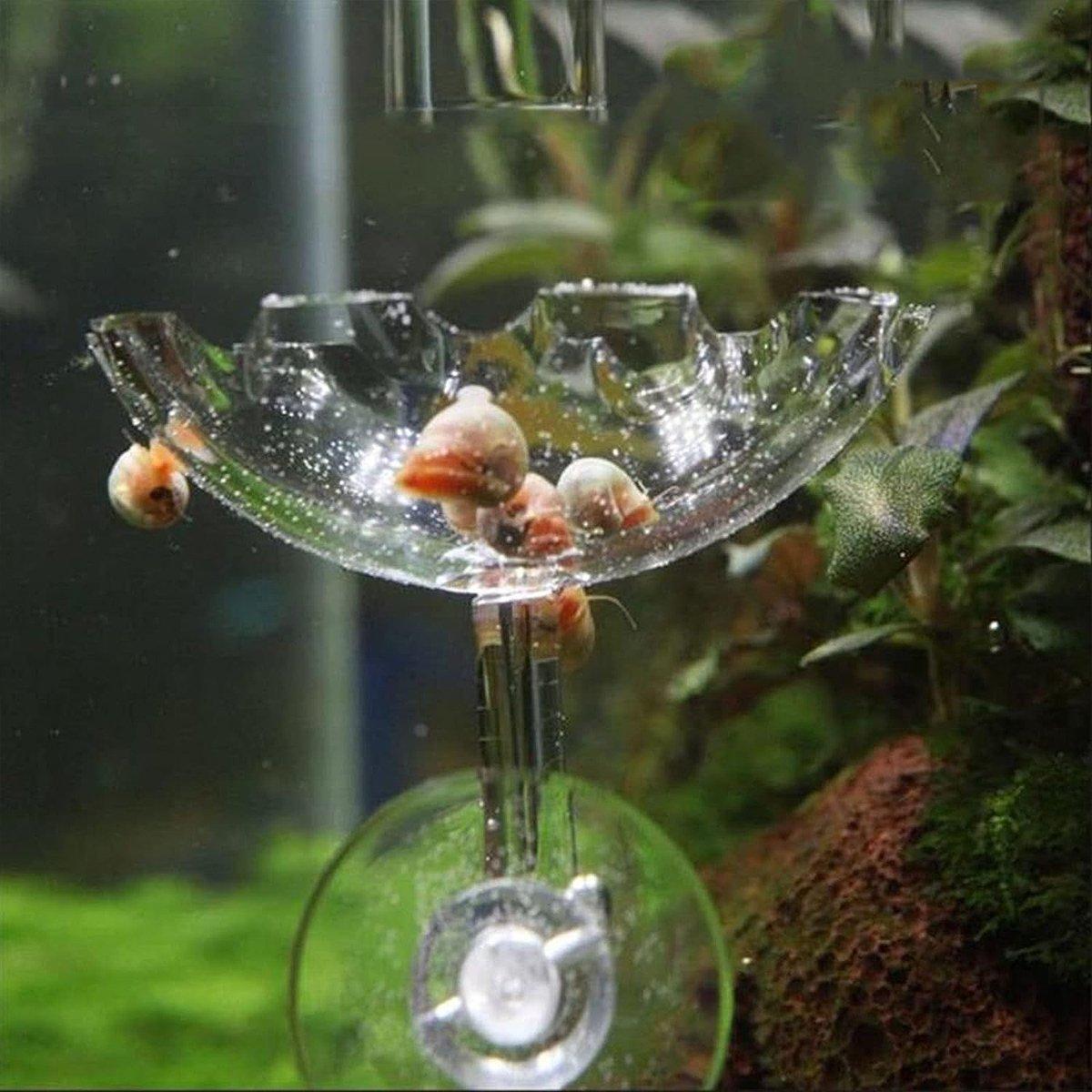Aquarium Fish Tank Shrimp Food Feeder Clear Arylic Feeding Dish Fish Tank Feeder