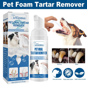 Dog Dental Cleaning