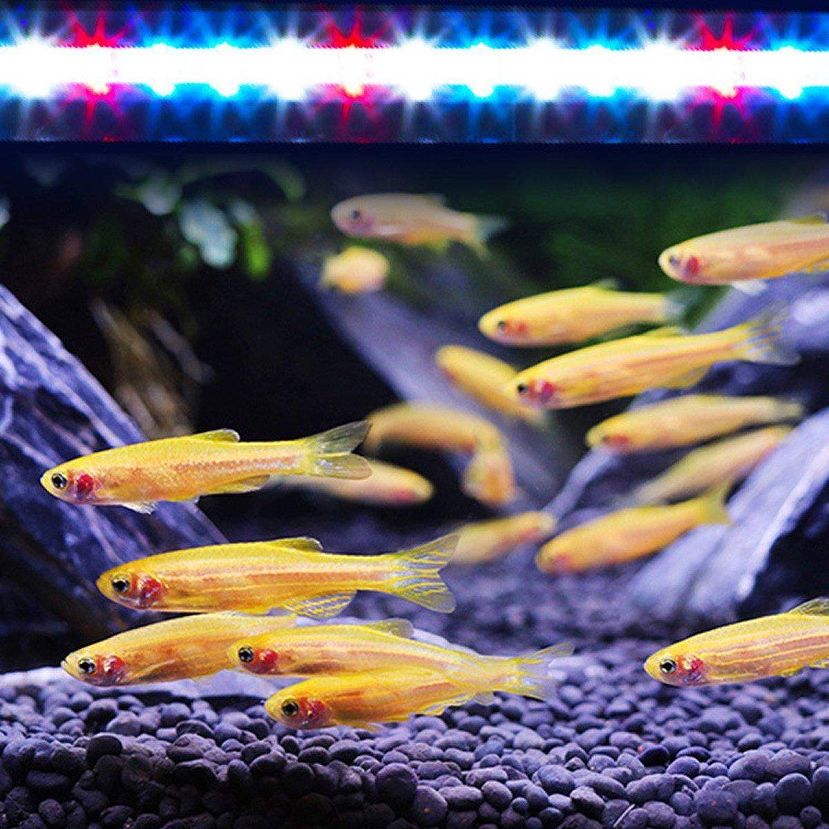 LED Aquarium Light Adjustable Fish Tank Lighting with 3 Modes