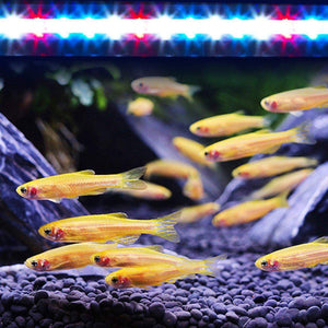 LED Aquarium Light Adjustable Fish Tank Lighting with 3 Modes