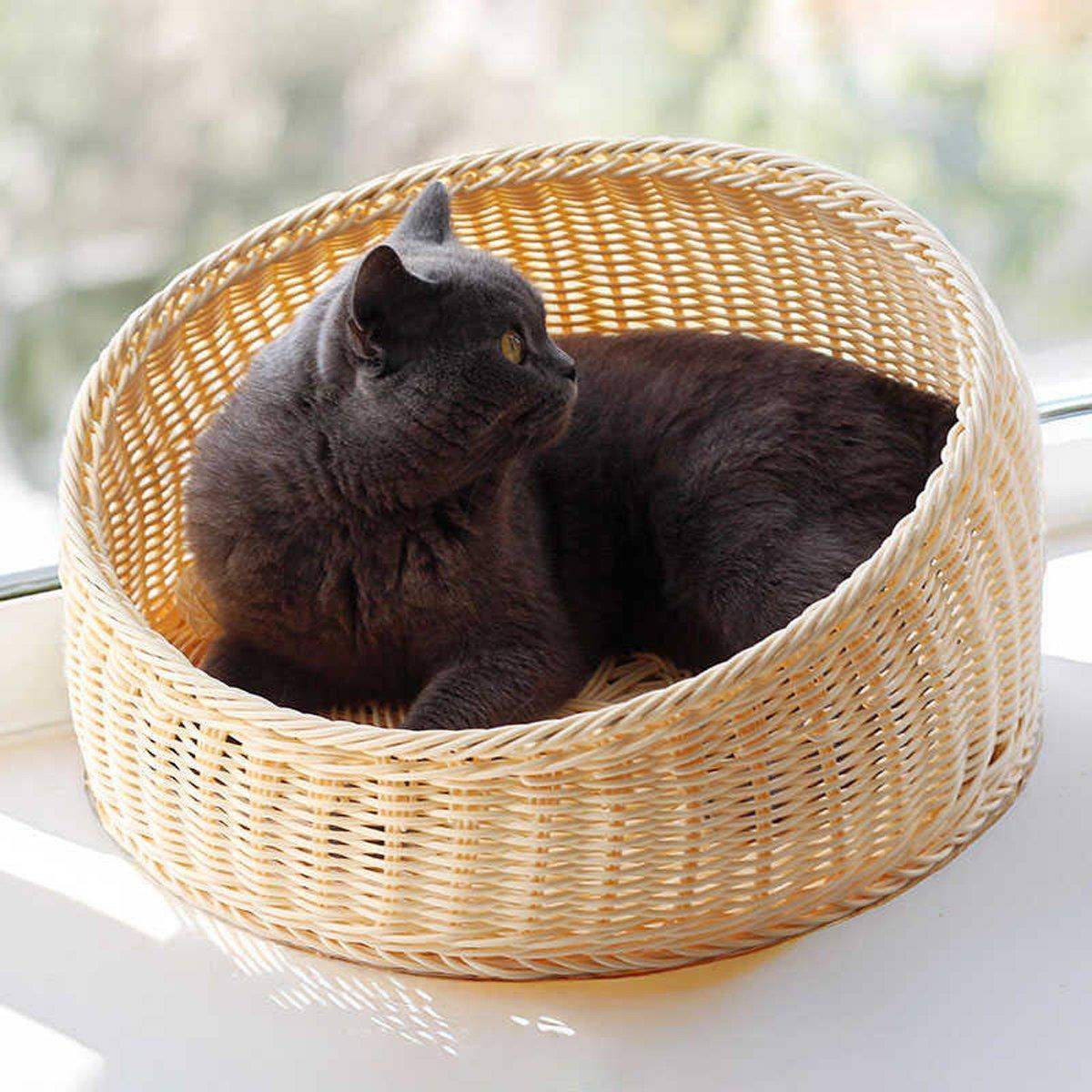 Gray cat lying in a round wicker basket cat bed by the window