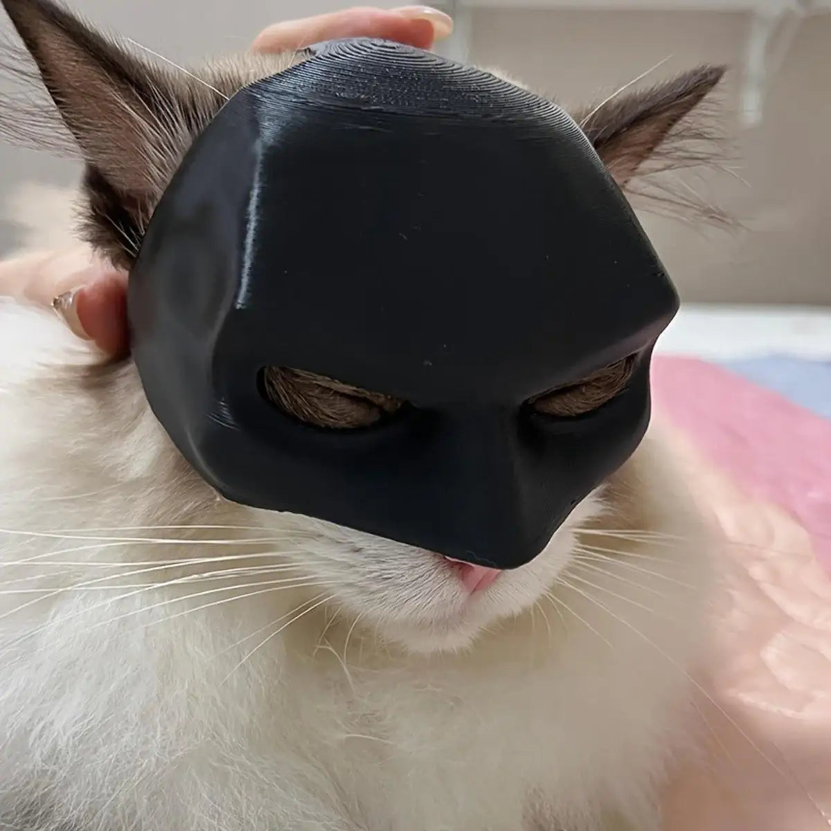 Halloween Bat Mask Cat Mask Pet Costume Accessories