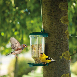 Clear Plastic Automatic Bird Feeder Suspended Suction Cup