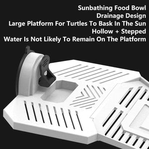 Detachable Tortoise Drying Platform with Climbing Ramp