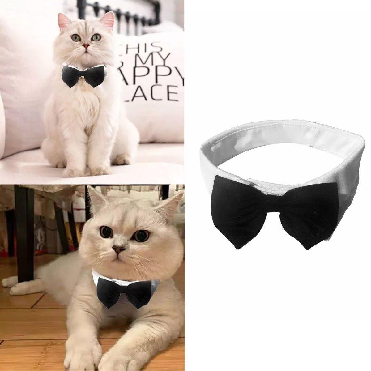 Designer Dog Collars & Designer Cat Collar Set Bow Tie and Necktie Design