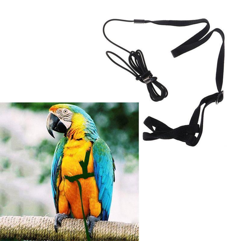 Outdoor Parrot Harness with Adjustable Bird Leash for Safe Flying
