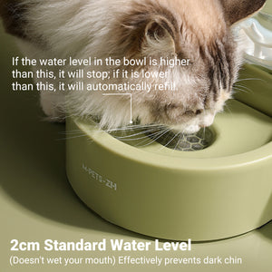 Automatic Pet Water Dispenser With Filter