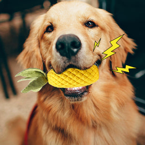 Durable Pineapple Dog Chew Toy Squeaky & Teeth Cleaning Toy