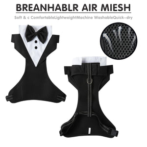 Adjustable Dog Harness and Leash Set with Bowtie No-Pull Vest Design