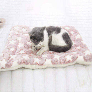Dog Mattress