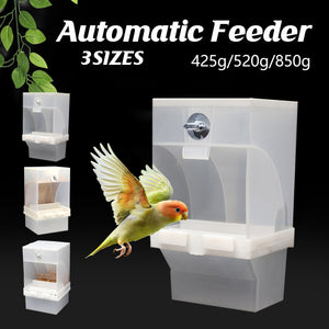 Automatic Bird Feeder with Double Grid and Easy-Clean Tray