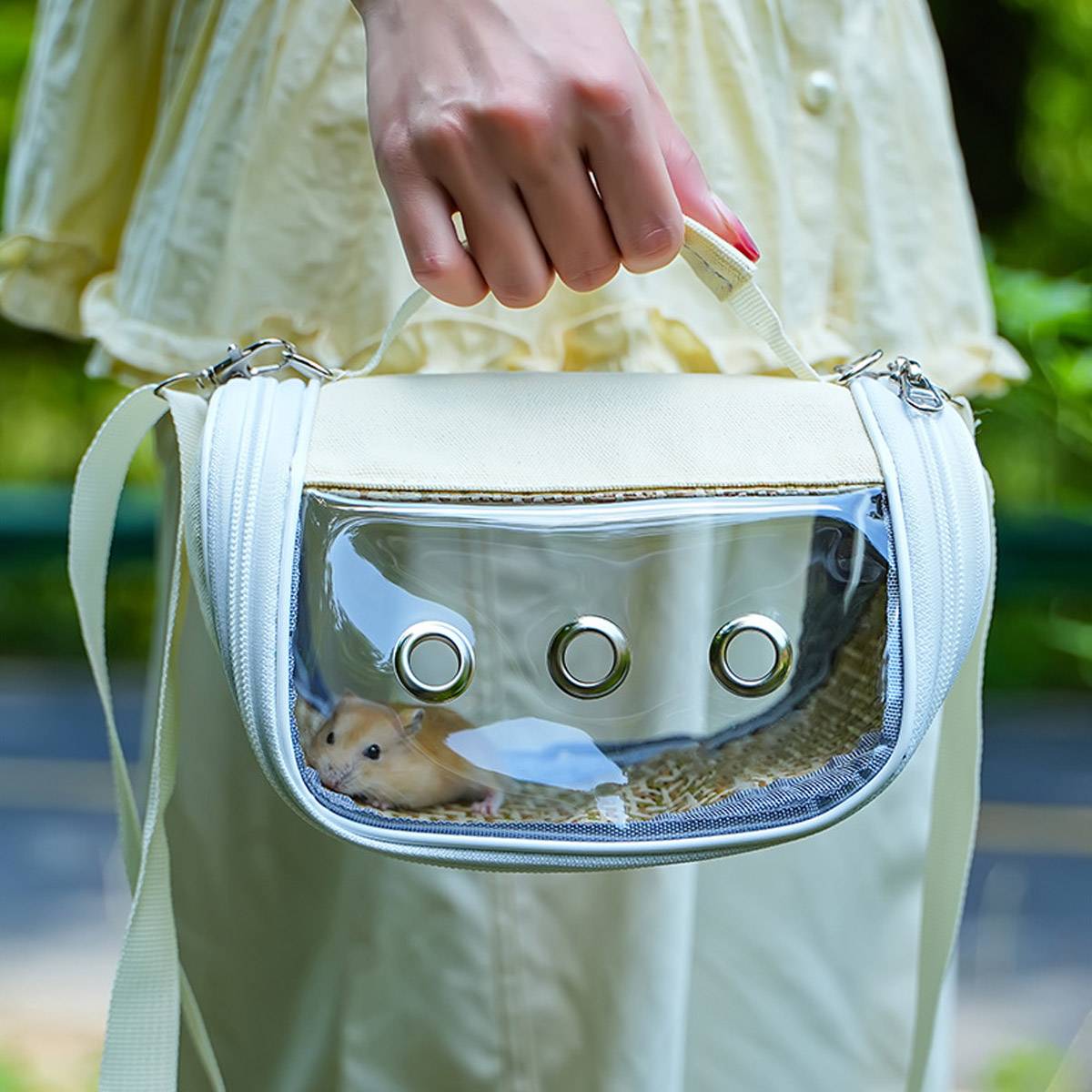 Small Pet Carrying Bag Travel Carrier