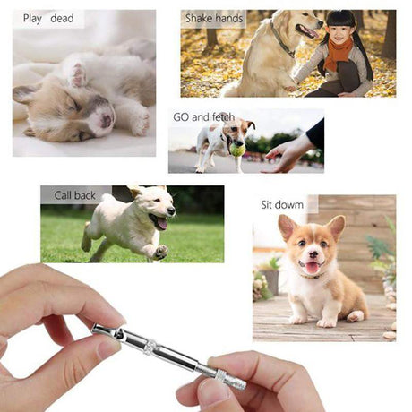 High Pitch Dog Whistle for Effective Pet Training