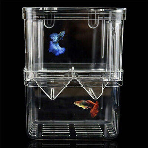 Durable Fish Tank Breeding Box for Safe Fish Separation