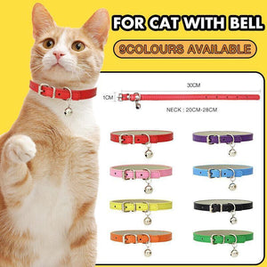 Designer Dog Collars