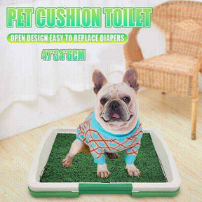 Absorbent Puppy Pee Pads for Potty Training