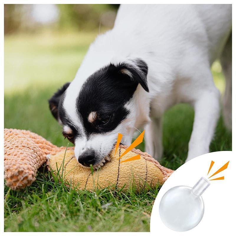 Plastic squeakers best sale for dog toys