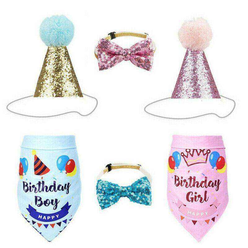 Complete Dog Party Kit with decorations, toys, and treats