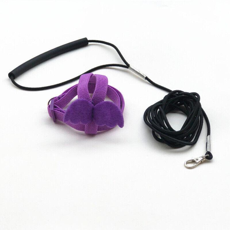 Pet Bird Harness 4 Colours
