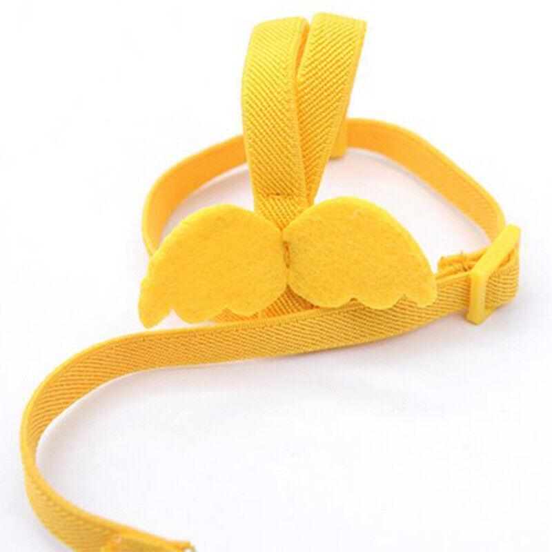 Pet Bird Harness 4 Colours