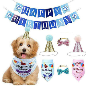 Complete Dog Party Kit with decorations, toys, and treats